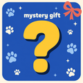 Mystery Gift